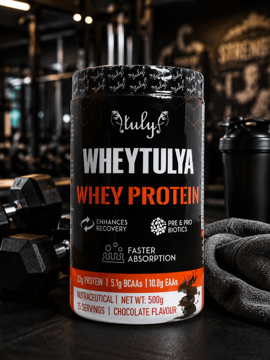 Whey Protein Chocolate Flavor (500g)